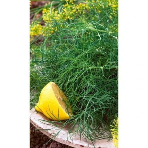 Семена Укроп Нежность 2гр (УД) Е/П