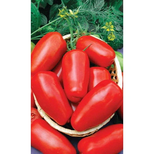 Семена Томат непасынкующийся Засолочный 20шт (УД) Е/П