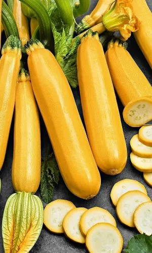 Семена Кабачок Герман 10шт (УД) Е/П