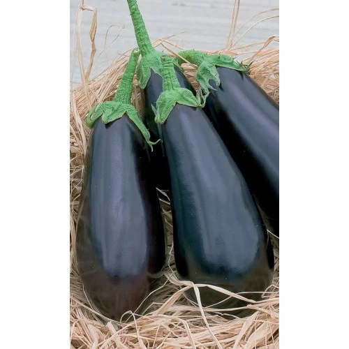 Семена Баклажан Мулатка 0,25гр (Марс) Б/П