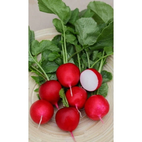 Семена Редис Черри Белле 2гр (УД) Е/П