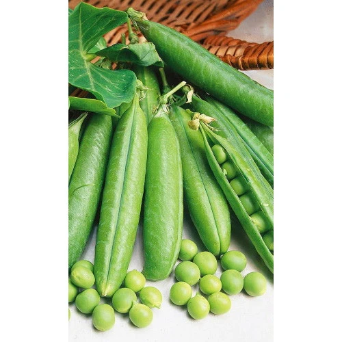 Семена Горох Юрга 8гр (УД) Е/П