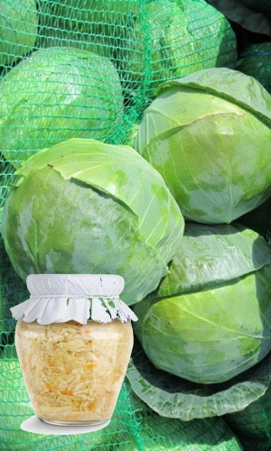 Семена Капуста белокочанная Засолочная 0,3гр (УД) Е/П