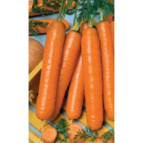 Семена Морковь Витаминная-6 2гр (Марс) Б/П