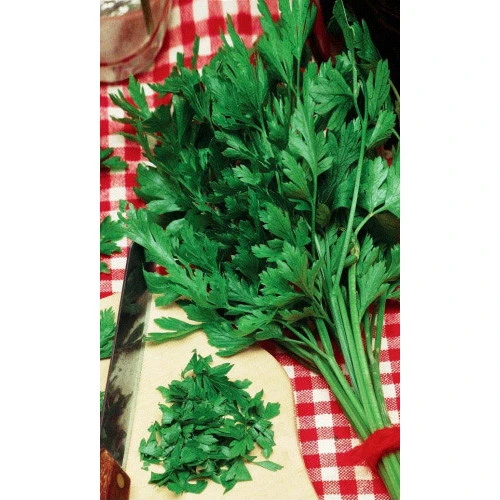 Семена Петрушка Москвичка - листовая 2гр (УД) Е/П