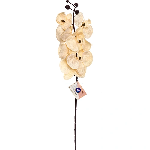 Искусственные цветы "FLOWERS MAGIC" 70см Орхидея кремовая