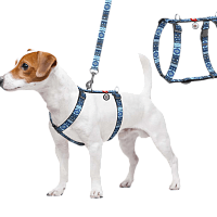 Амуниция для животных