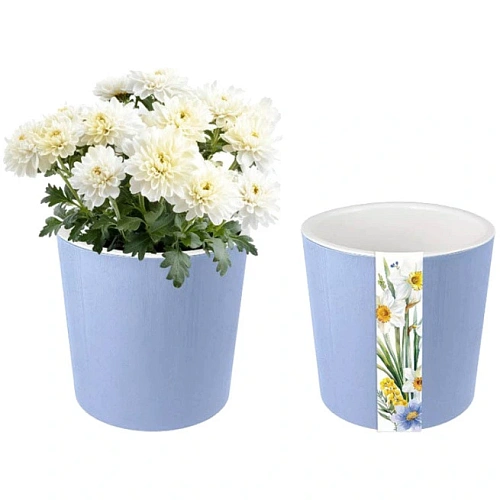 Горшок для цветов пластиковый 2,5л d-15,7см "Весенний сад" с дренажной вставкой голубой