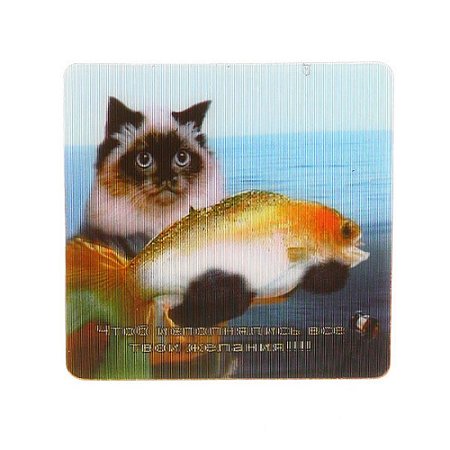 Магнит голограмма "Кот с рыбой" 60х60мм