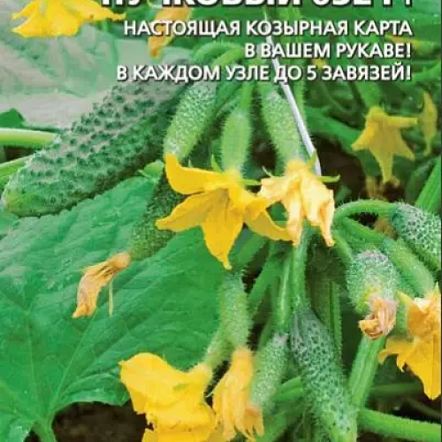 Семена Огурец Пучковый 632 - корнишон F1 10шт (УД) Е/П