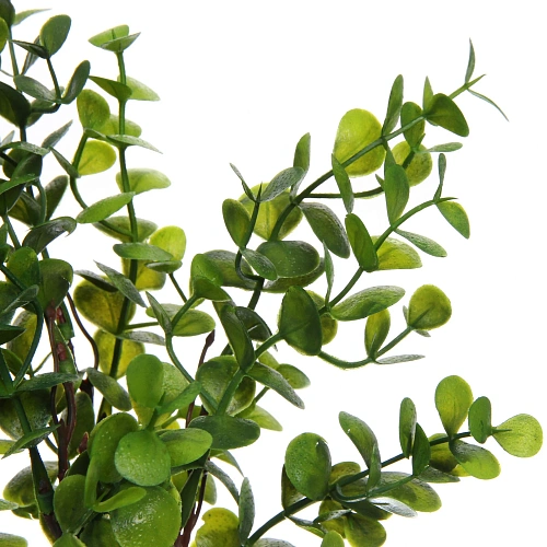 Искусственные цветы Волшебство трав 37см Эвкалипт темно-зеленый_4