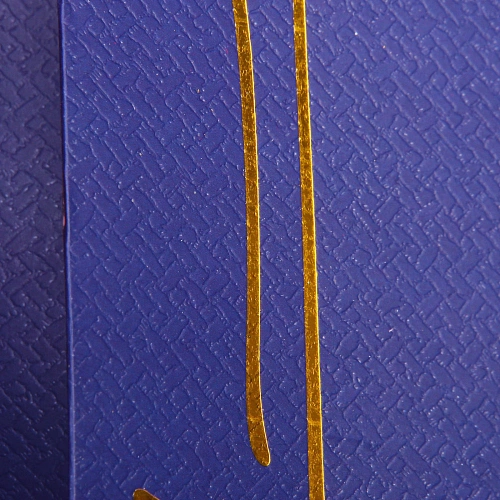 Пакет подарочный Силуэты 113811 см_4